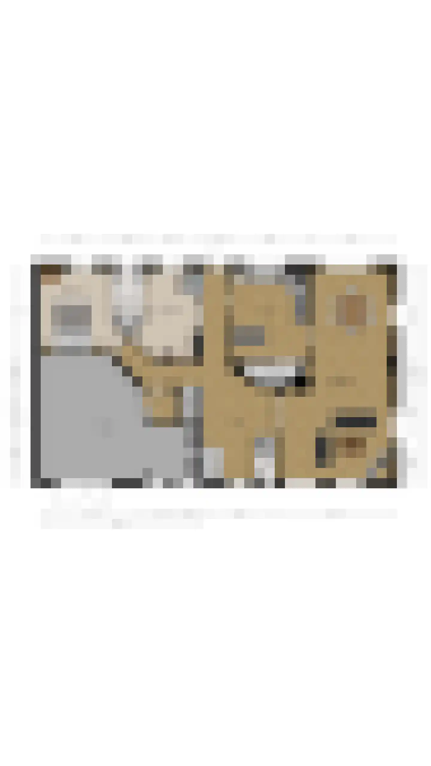 Pastoor van Schijndelstraat 8 Erp thumbnail 62