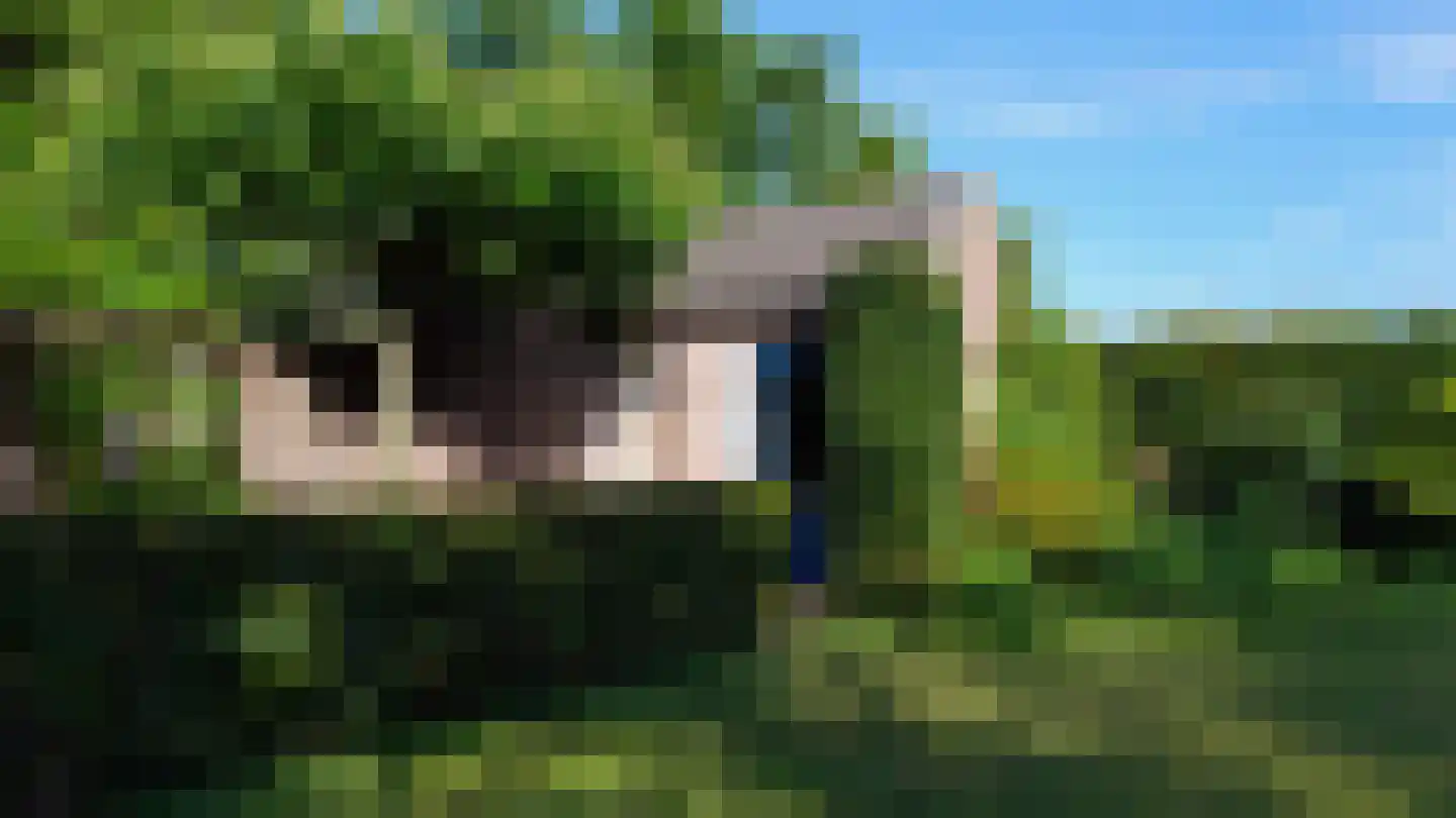 Pastoor van Schijndelstraat 8 Erp thumbnail 64