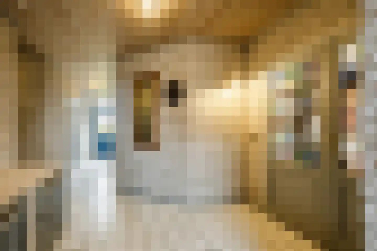 Pastoor van Schijndelstraat 8 Erp thumbnail 7
