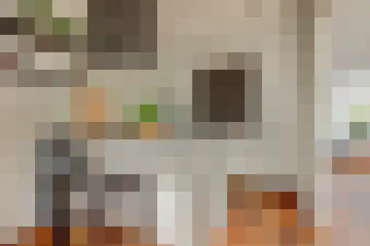 Pastoor van Soevershemstraat 15 Nijmegen thumbnail 13