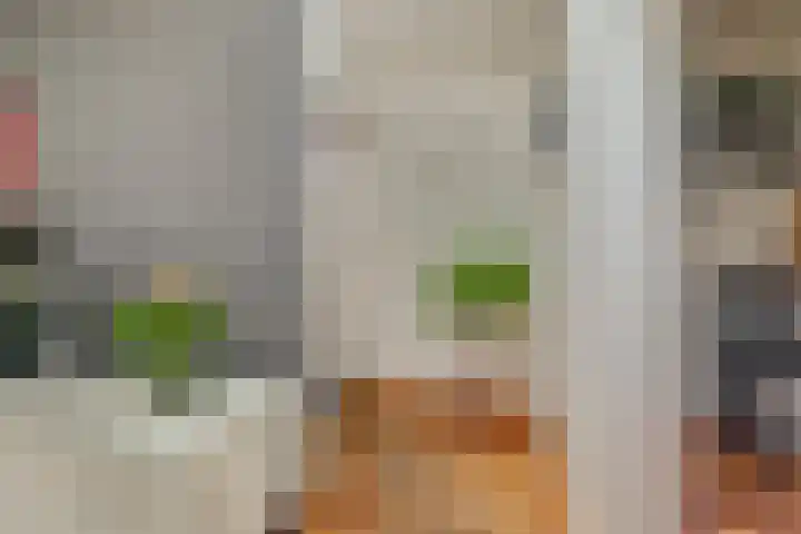 Pastoor van Soevershemstraat 15 Nijmegen thumbnail 19