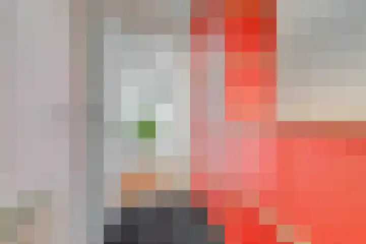 Pastoor van Soevershemstraat 15 Nijmegen thumbnail 20