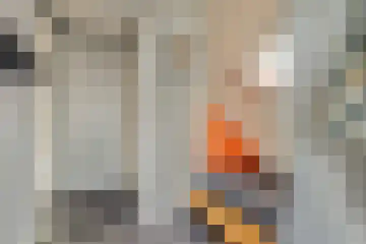 Pastoor van Soevershemstraat 15 Nijmegen thumbnail 21