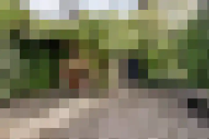 Pastoor van Soevershemstraat 15 Nijmegen thumbnail 35
