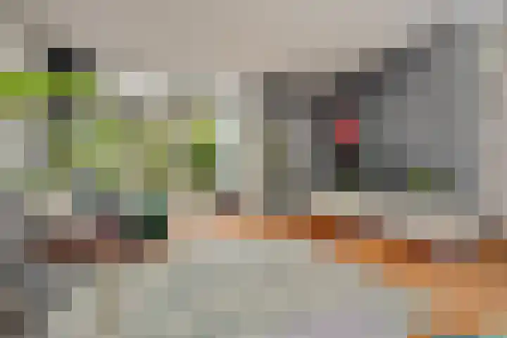 Pastoor van Soevershemstraat 15 Nijmegen thumbnail 7