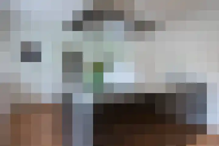 Pastoor van Sonsbeeckstr 3 Stokkum thumbnail 25