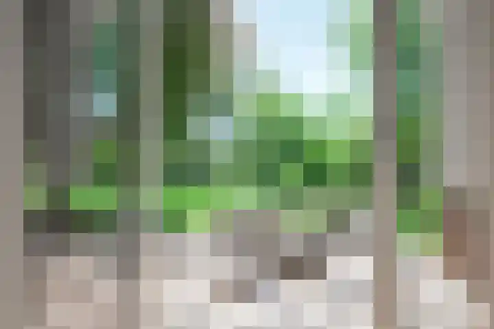 Pastoor van Sonsbeeckstr 3 Stokkum thumbnail 31