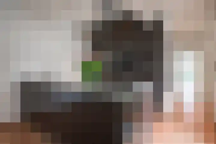 Pastoor van Sonsbeeckstr 3 Stokkum thumbnail 4