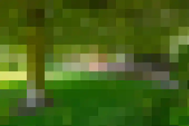Pastoor van Sonsbeeckstr 3 Stokkum thumbnail 5