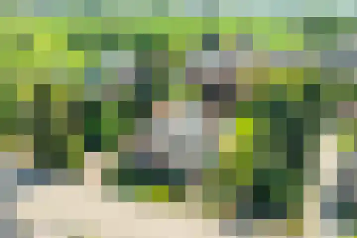 Pastoor van Sonsbeeckstr 3 Stokkum thumbnail 69