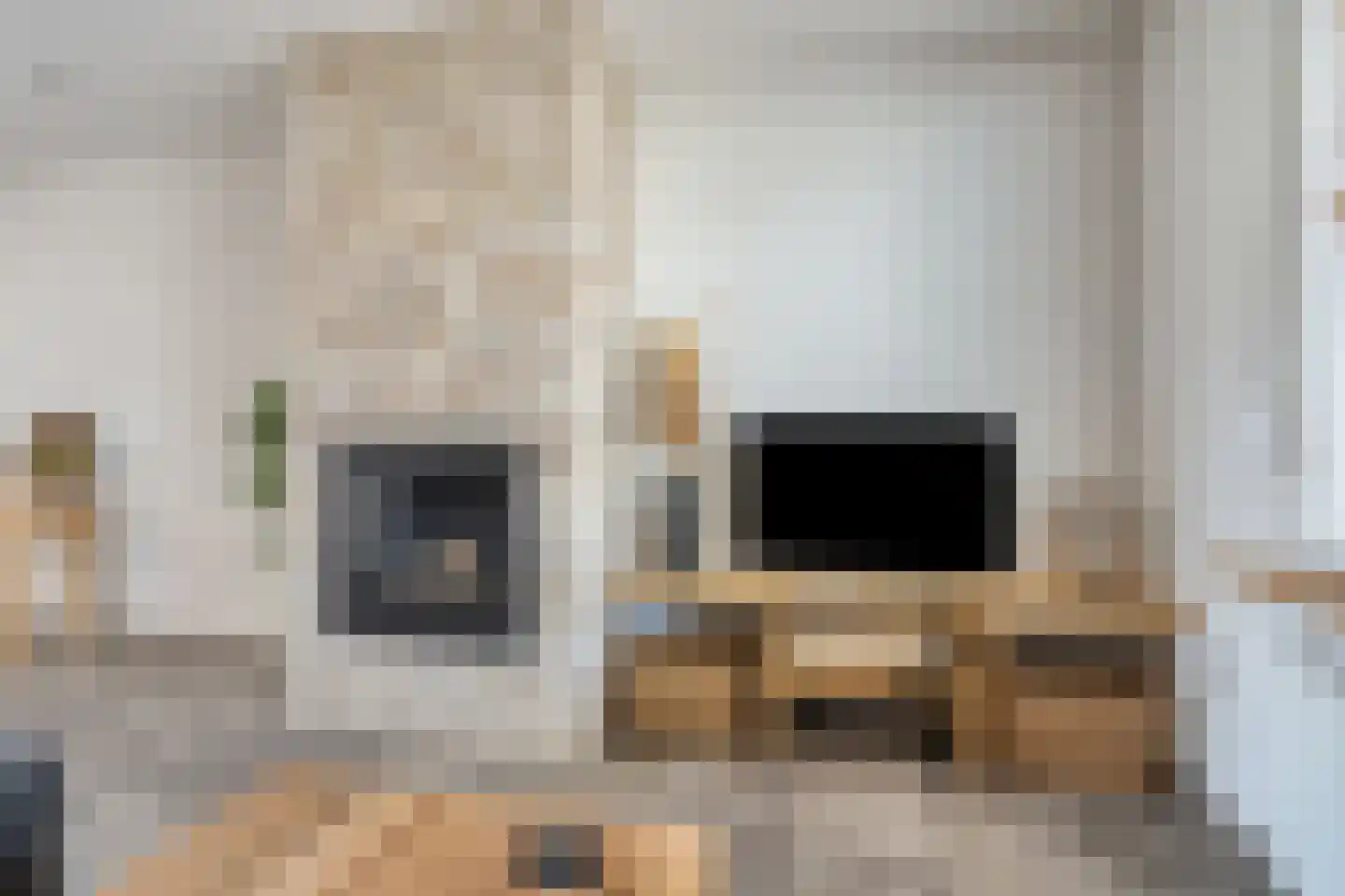 Pastoor van Spaandonklaan 19 Nispen thumbnail 10