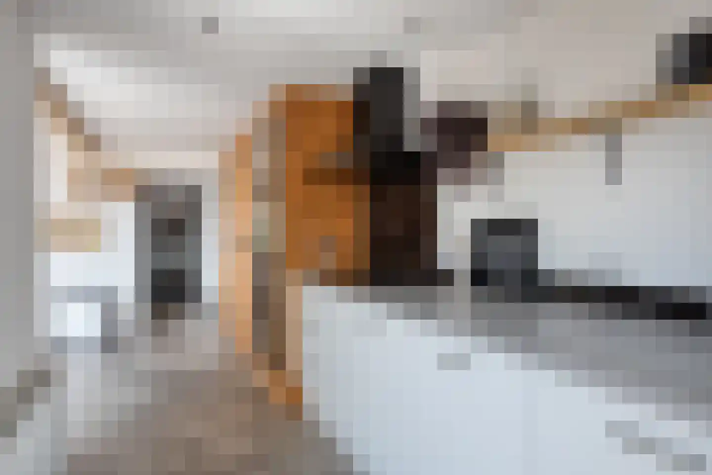 Pastoor van Spaandonklaan 19 Nispen thumbnail 16