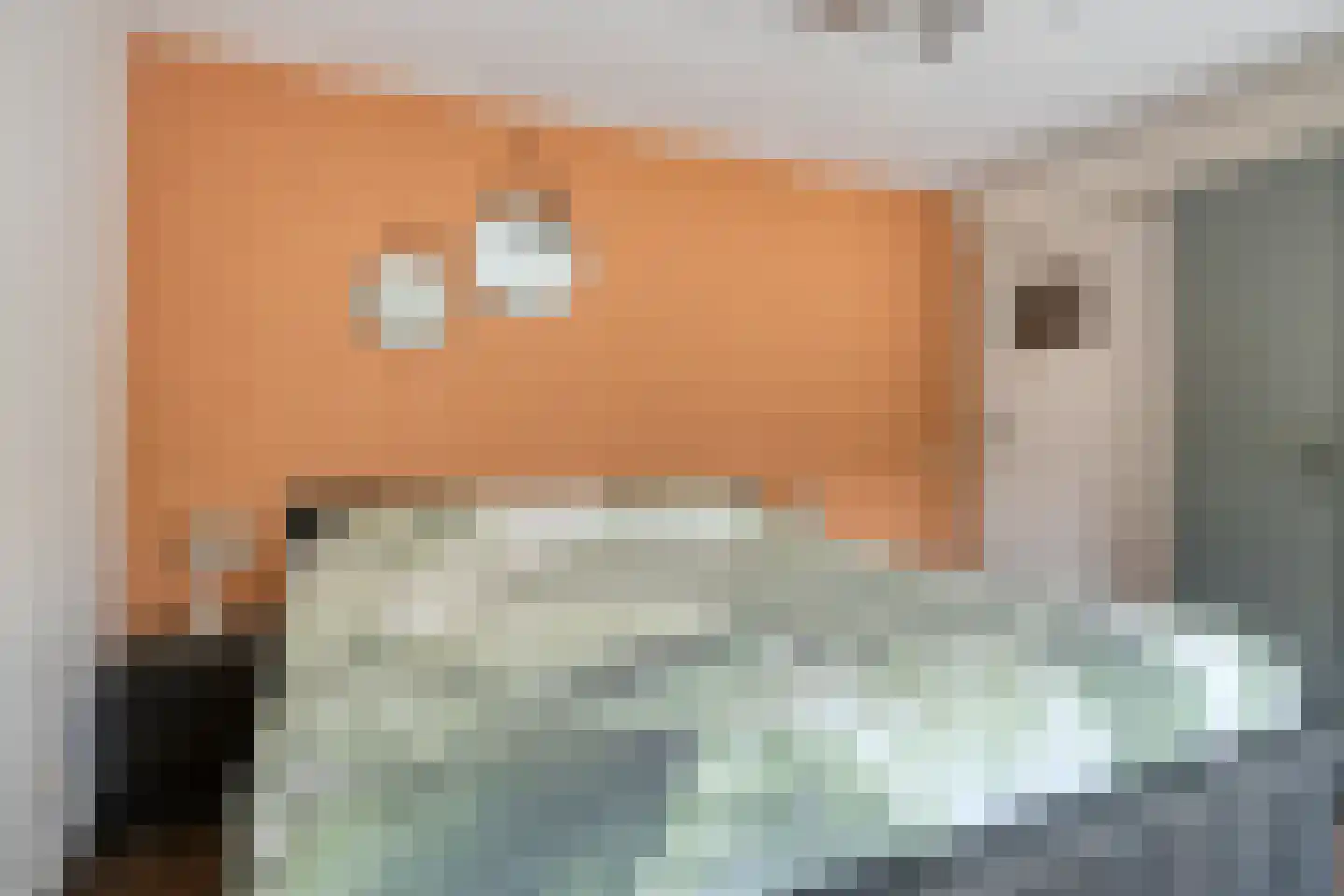 Pastoor van Spaandonklaan 19 Nispen thumbnail 20