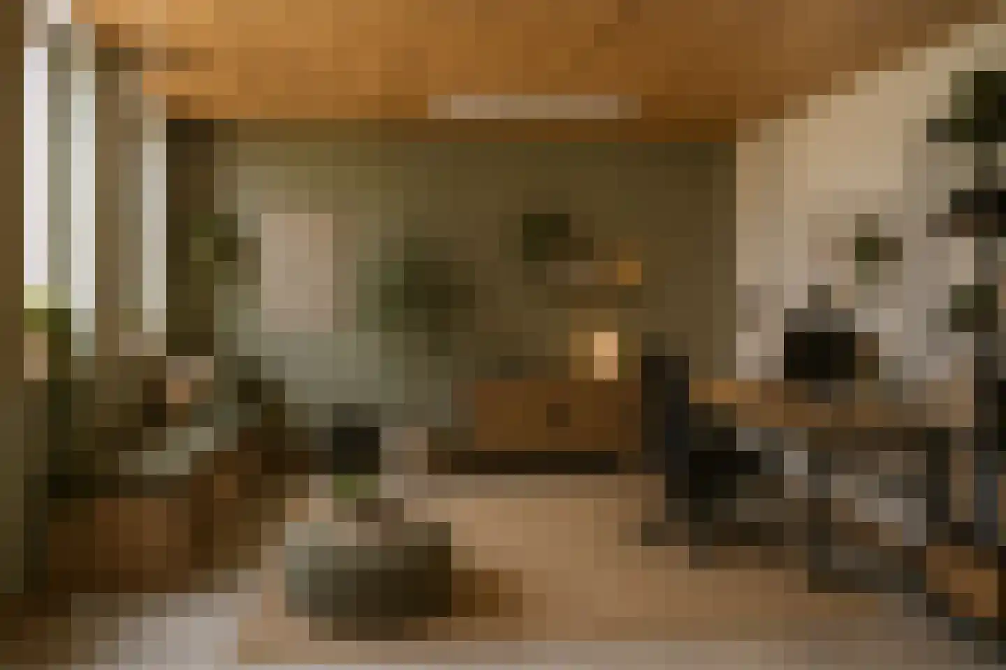 Pastoor van Spaandonklaan 19 Nispen thumbnail 31