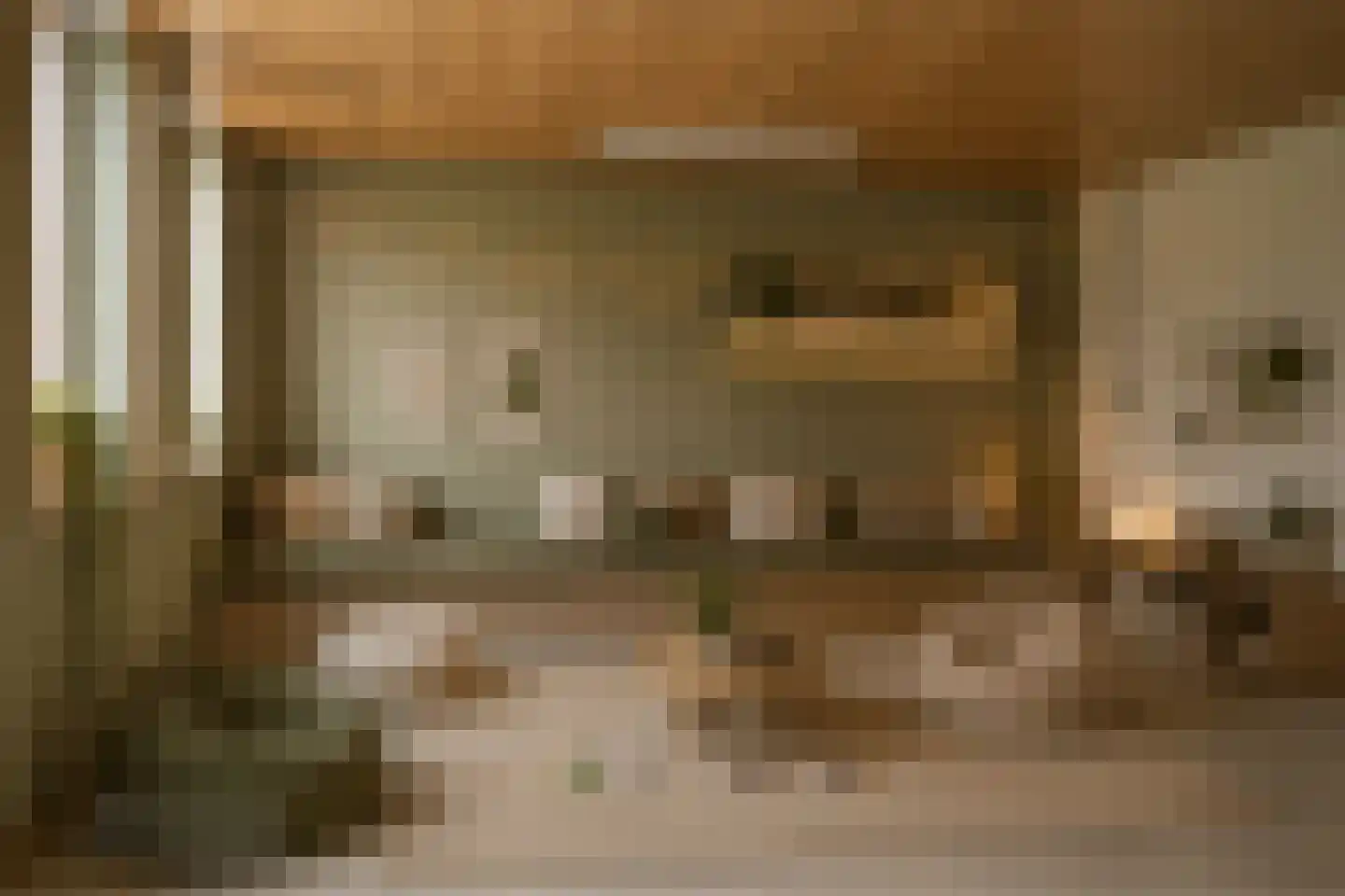 Pastoor van Spaandonklaan 19 Nispen thumbnail 33