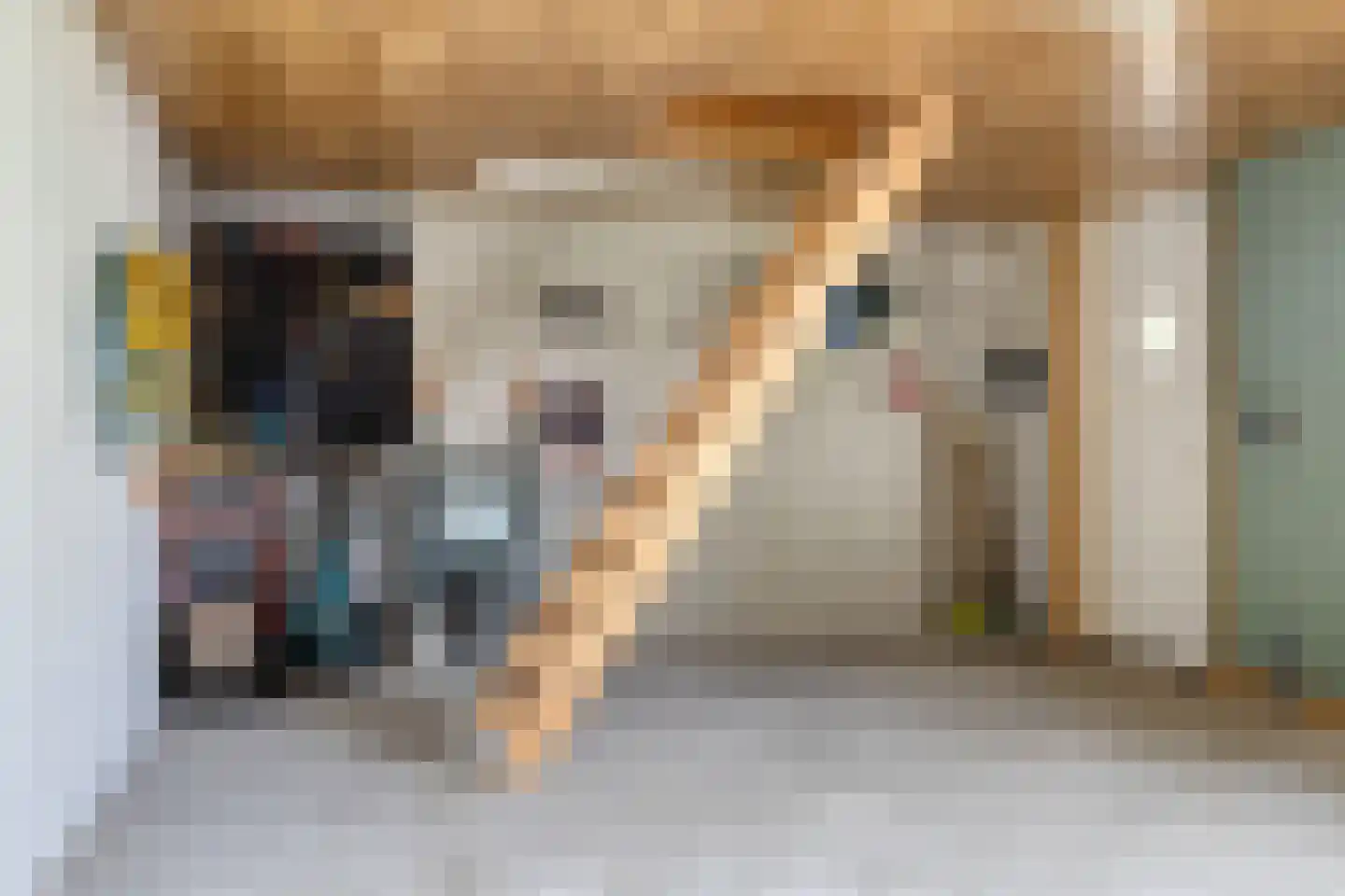 Pastoor van Spaandonklaan 19 Nispen thumbnail 34