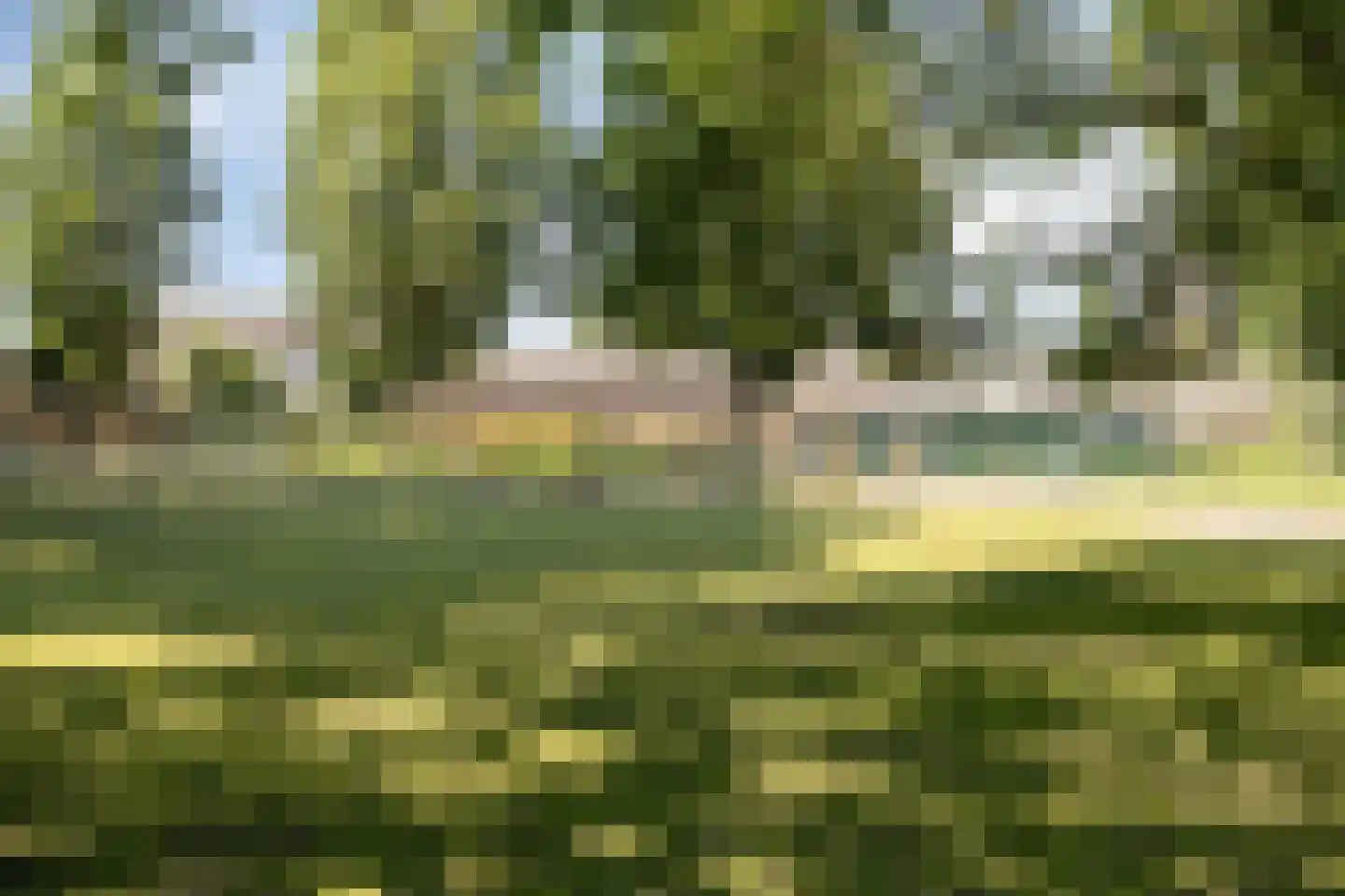 Pastoor van Spaandonklaan 19 Nispen thumbnail 35