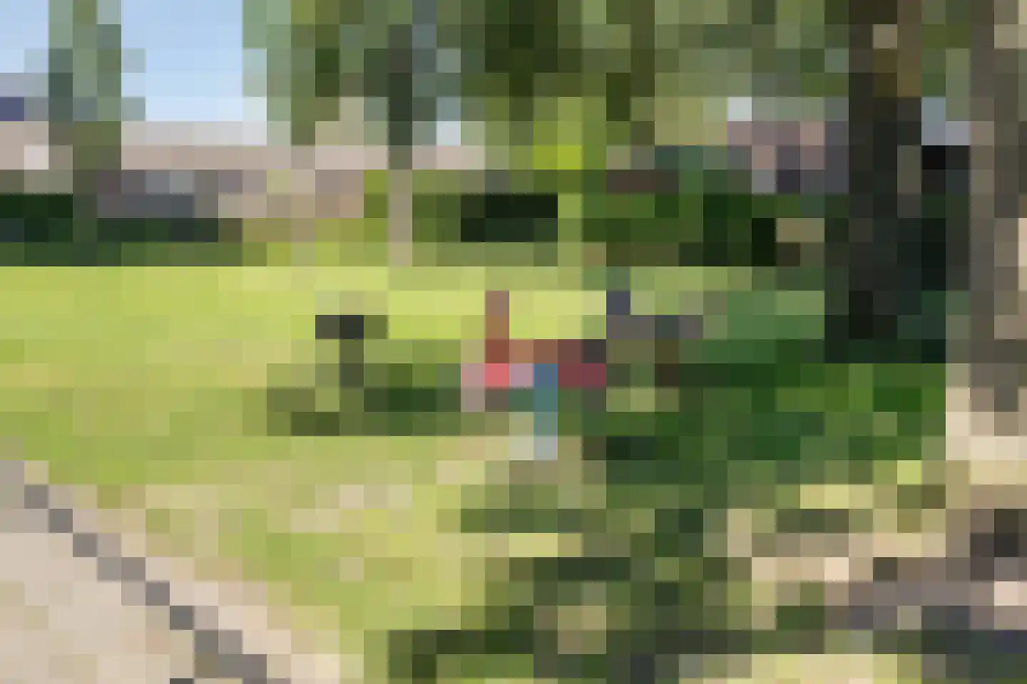 Pastoor van Spaandonklaan 19 Nispen thumbnail 36