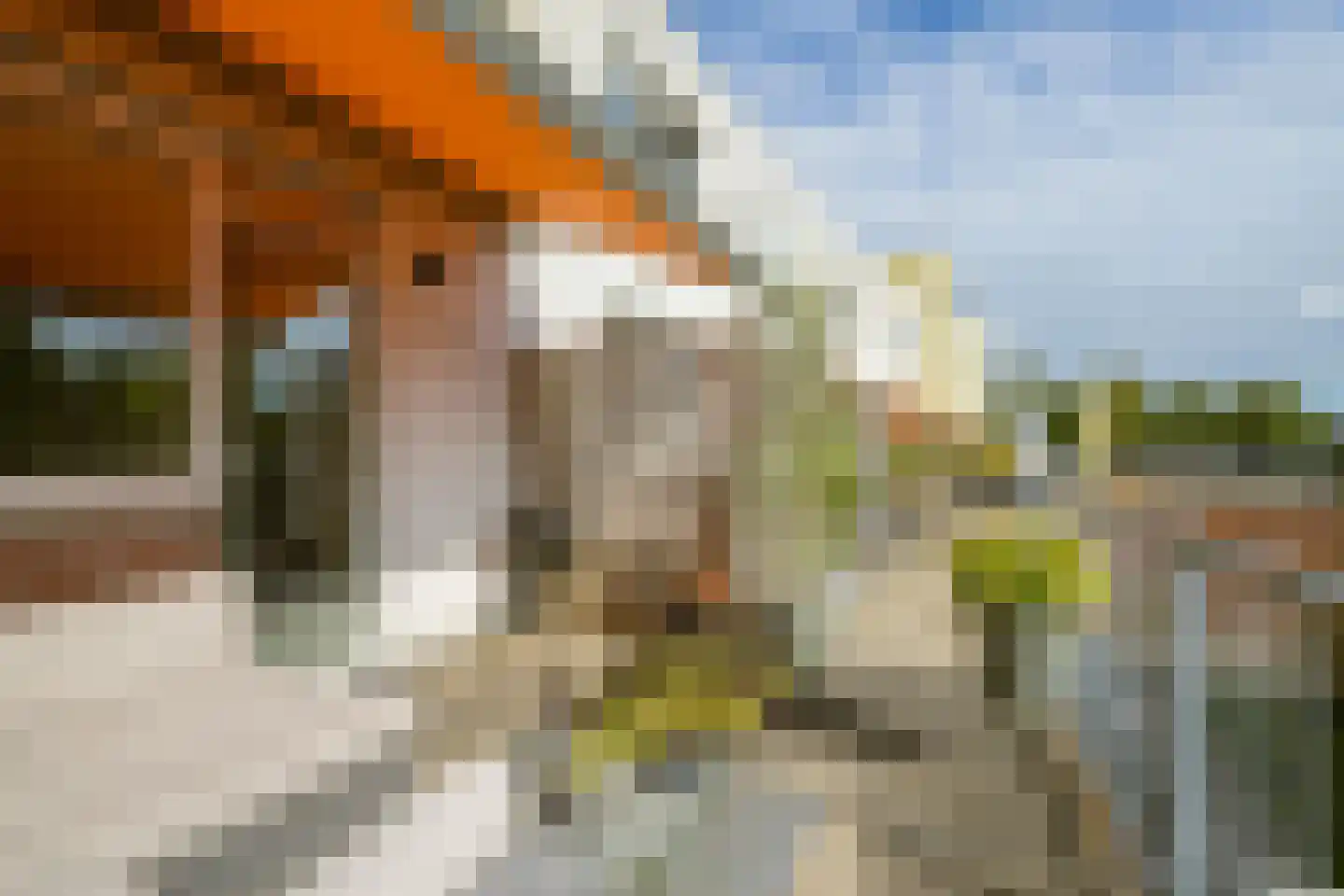Pastoor van Spaandonkstraat 20 Breda thumbnail 27