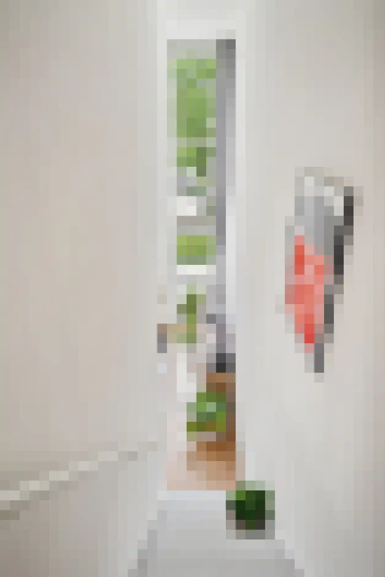Pastoor van Spaandonkstraat 20 Breda thumbnail 32