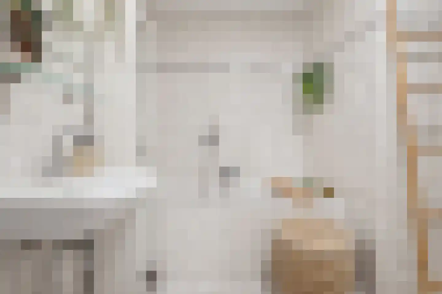 Pastoor van Spaandonkstraat 20 Breda thumbnail 40