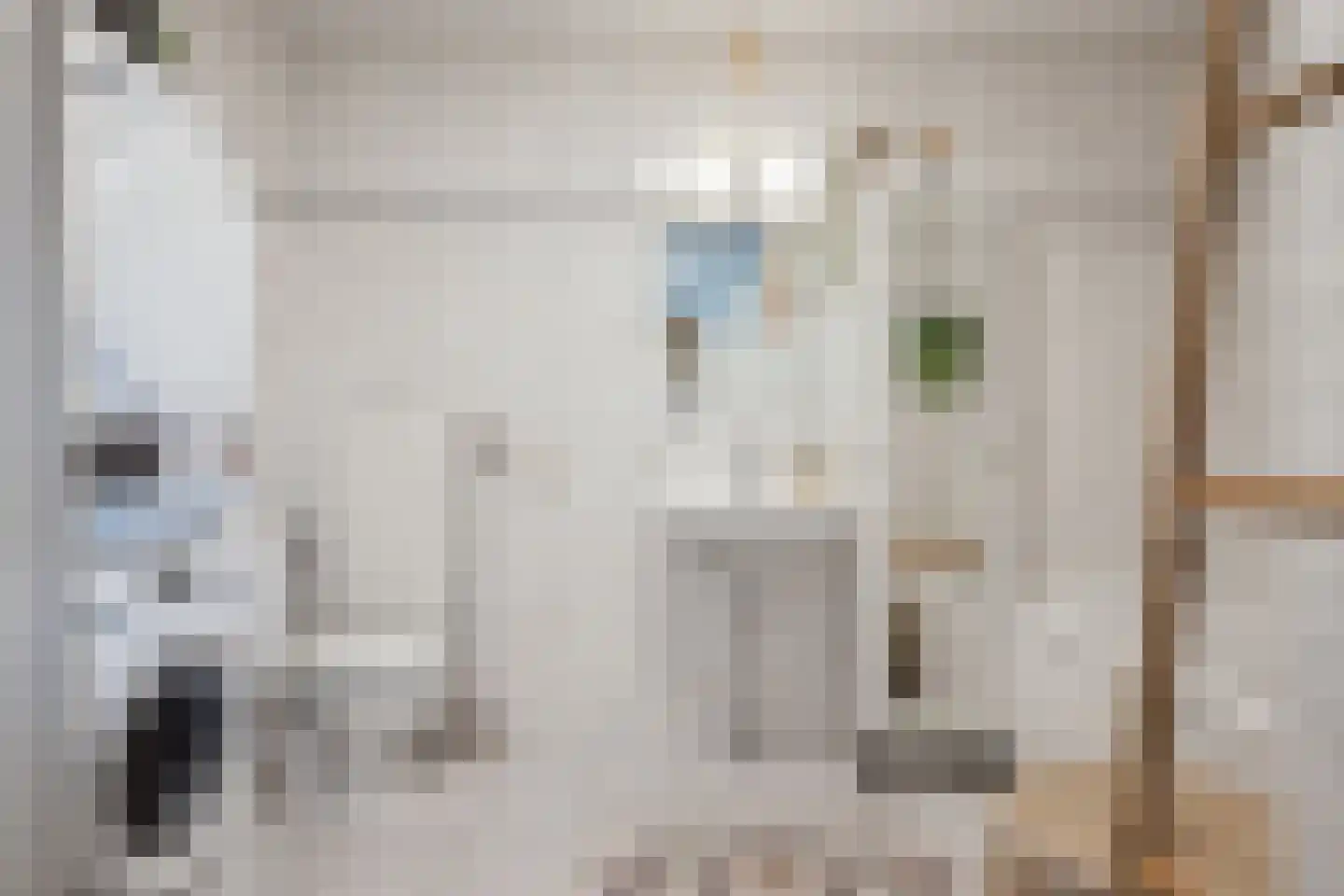 Pastoor van Spaandonkstraat 20 Breda thumbnail 44