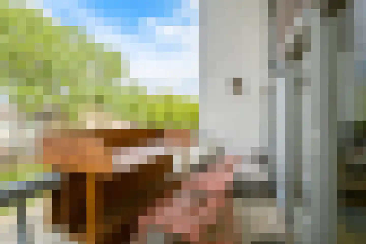 Pastoor van Spaandonkstraat 20 Breda thumbnail 5