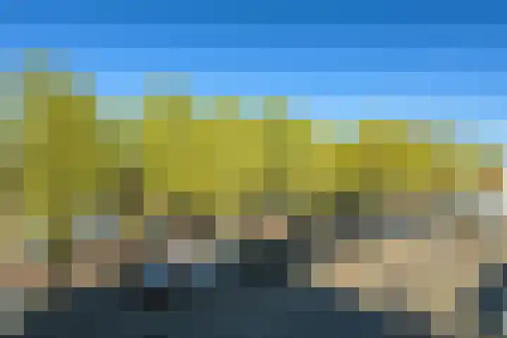 Pastoor van Spaandonkstraat 34 Breda thumbnail 28