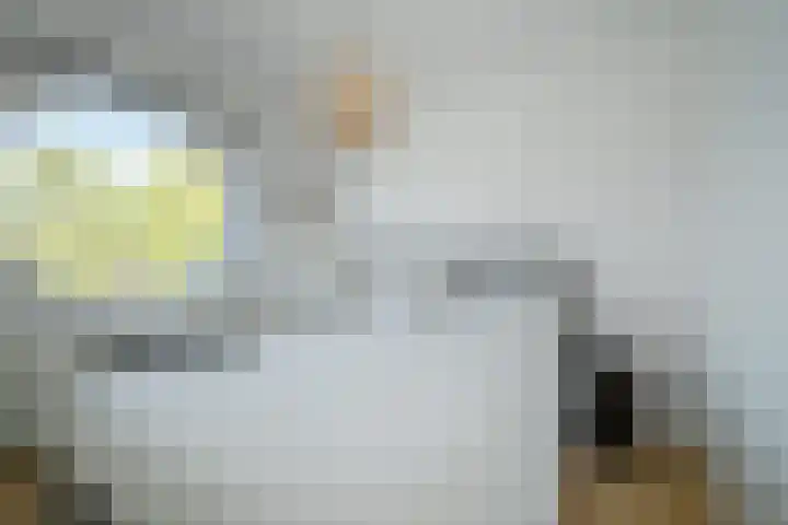 Pastoor van Spaandonkstraat 34 Breda thumbnail 33