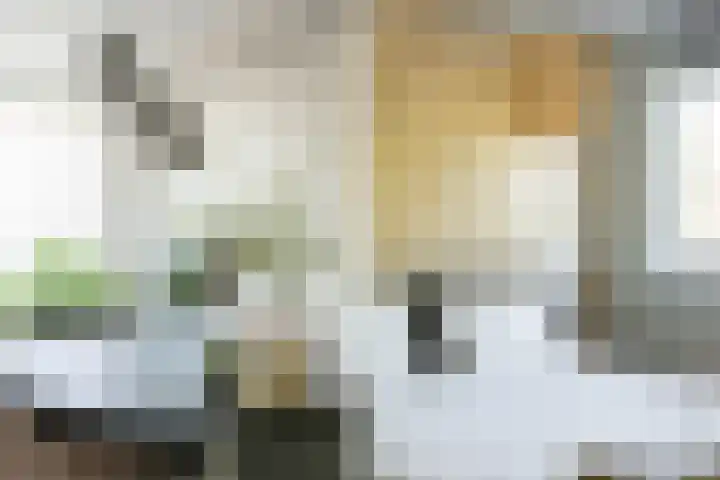 Pastoor van Spaandonkstraat 34 Breda thumbnail 34