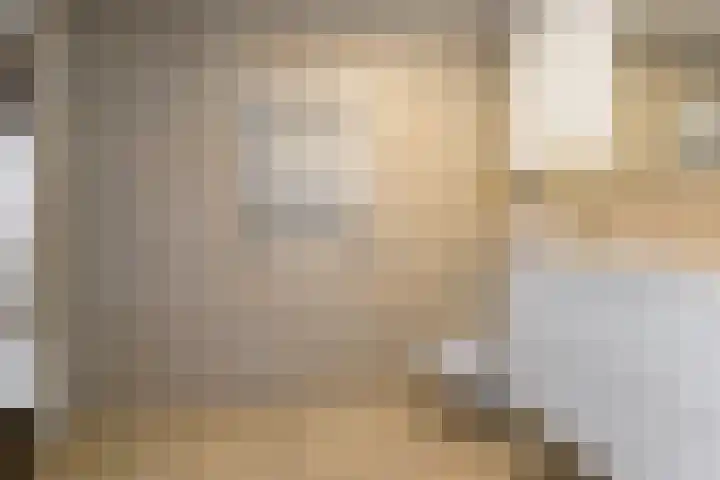 Pastoor van Spaandonkstraat 34 Breda thumbnail 36