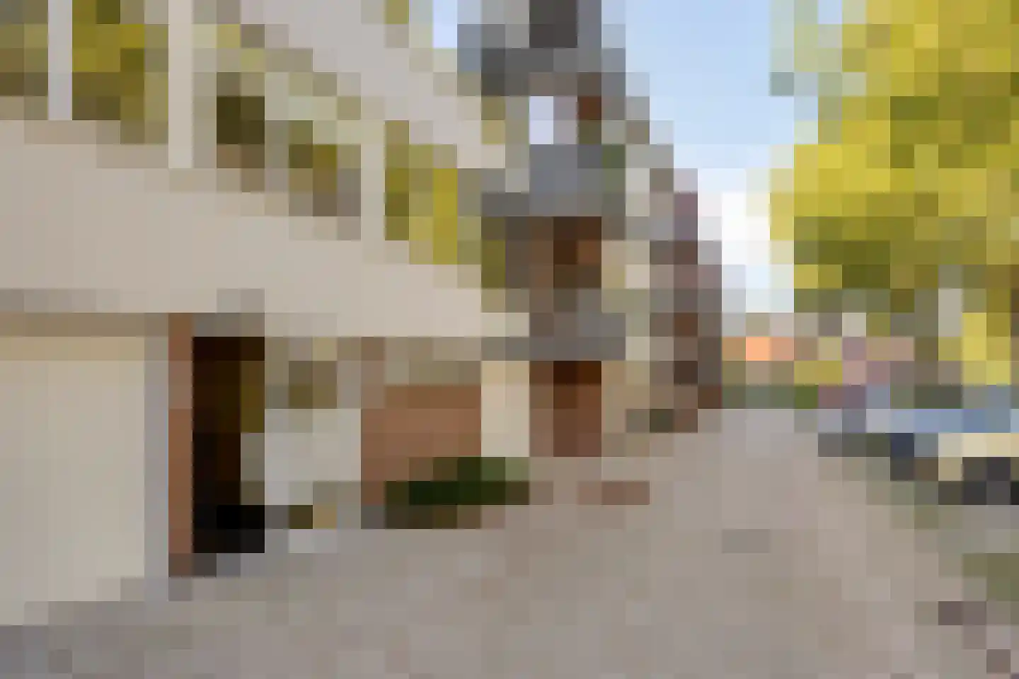 Pastoor van Thiellaan 37 Rosmalen thumbnail 21
