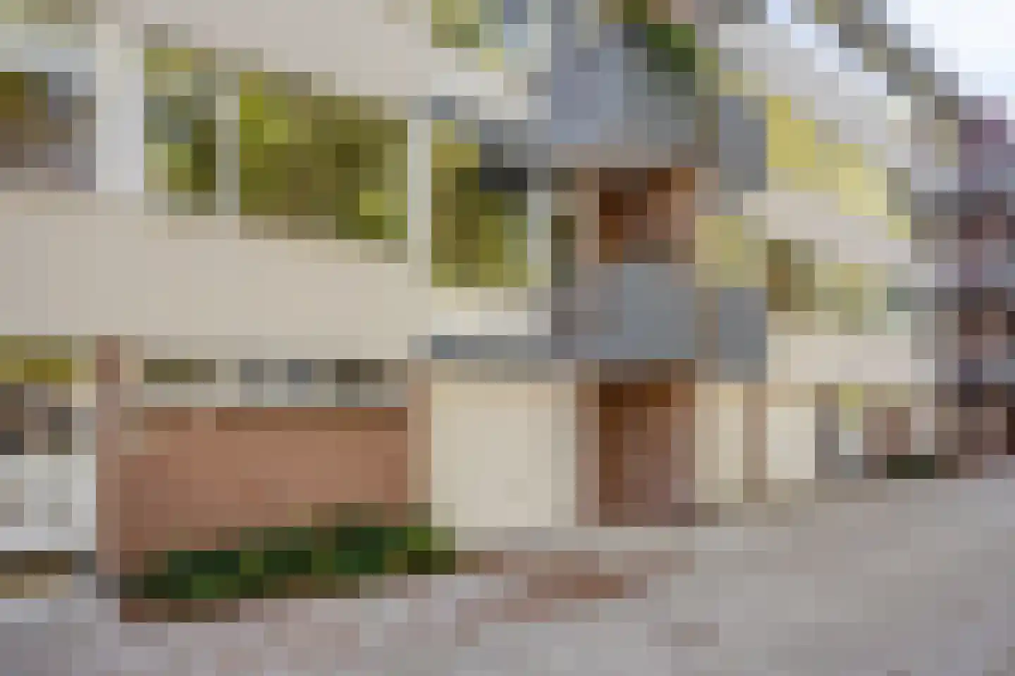 Pastoor van Thiellaan 37 Rosmalen thumbnail 22