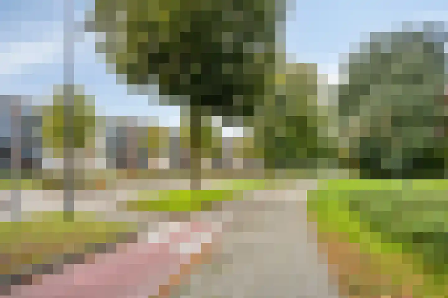Pastoor van Thiellaan 37 Rosmalen thumbnail 28