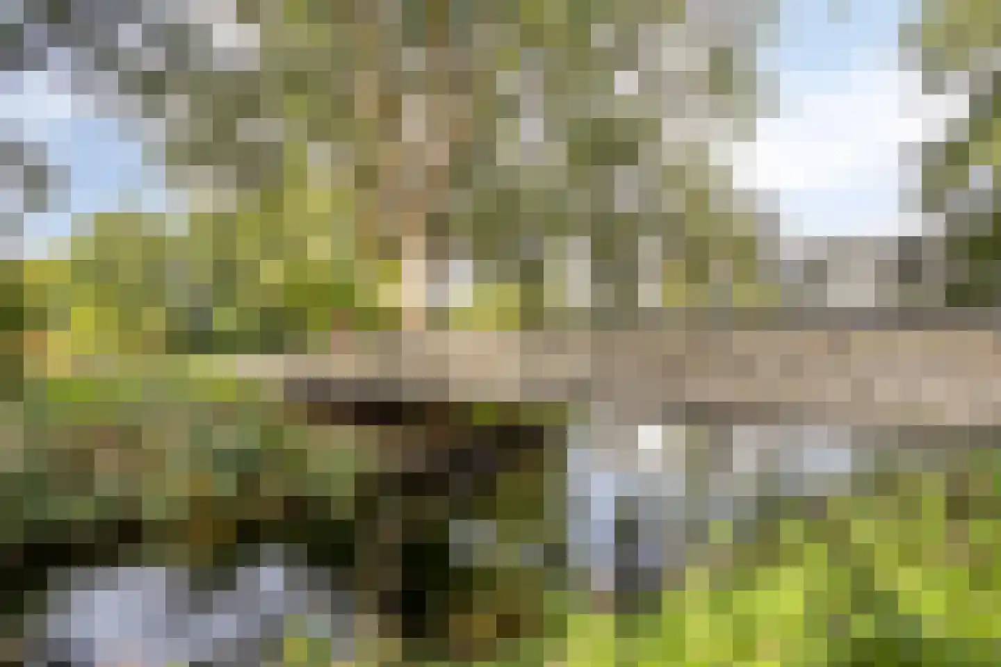 Pastoor van Thiellaan 37 Rosmalen thumbnail 30