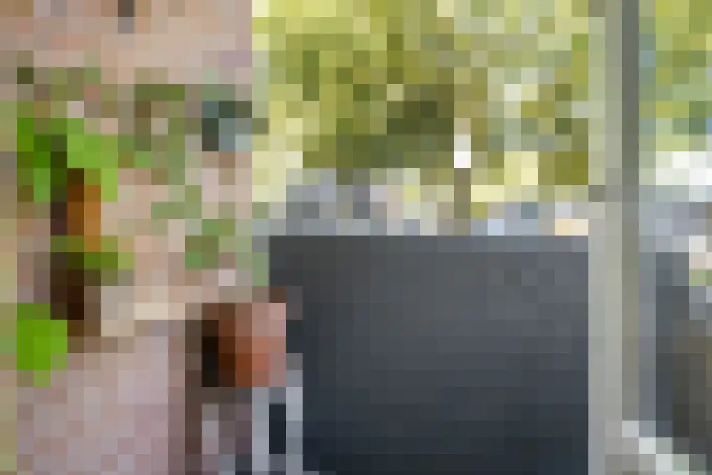 Pastoor van Thiellaan 37 Rosmalen thumbnail 8
