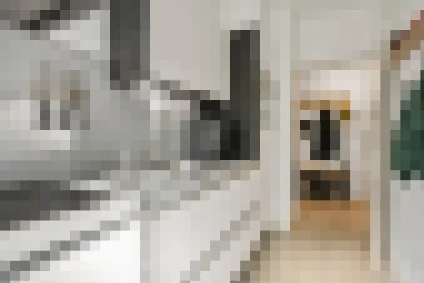 Pastoor van Thiellaan 37 Rosmalen thumbnail 9