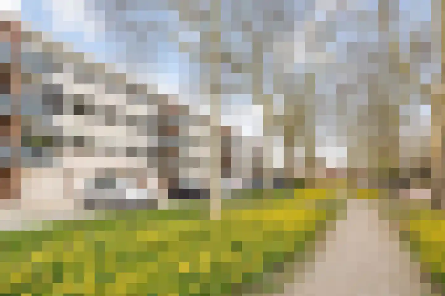 Pastoor van Thiellaan 45 Rosmalen thumbnail 23