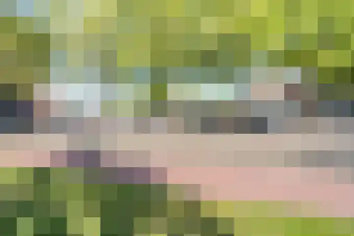 Pastoor van Thiellaan 47 Rosmalen thumbnail 19