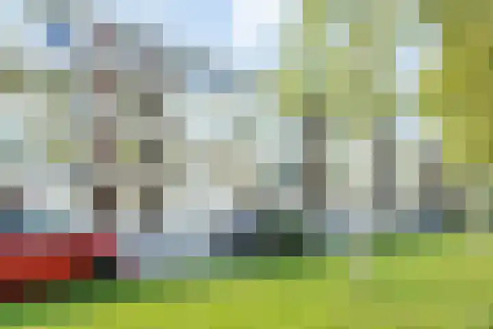 Pastoor van Thiellaan 47 Rosmalen thumbnail 20