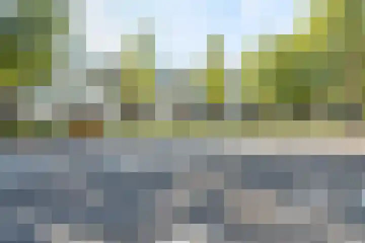 Pastoor van Thiellaan 47 Rosmalen thumbnail 21