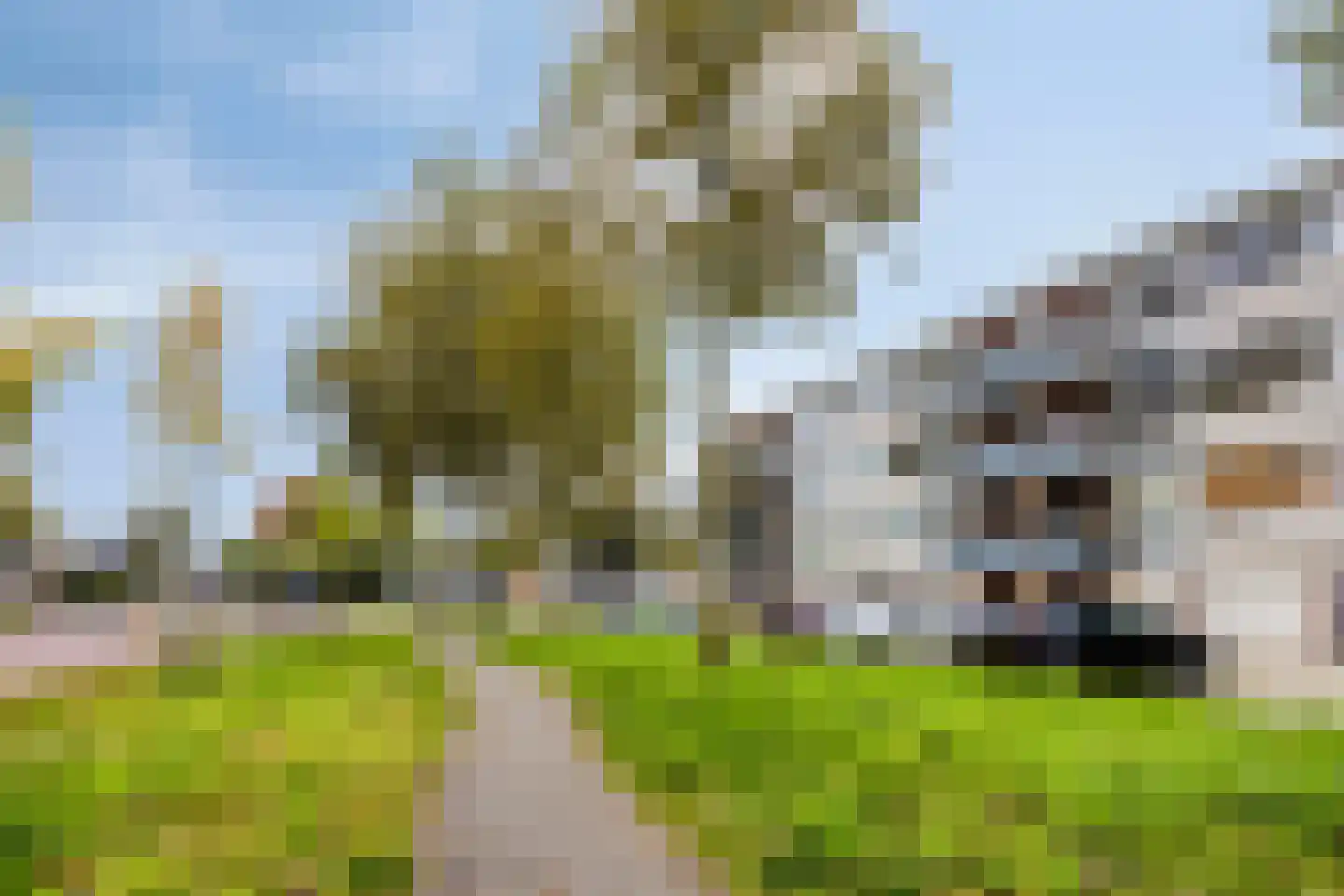 Pastoor van Thiellaan 59 Rosmalen thumbnail 18