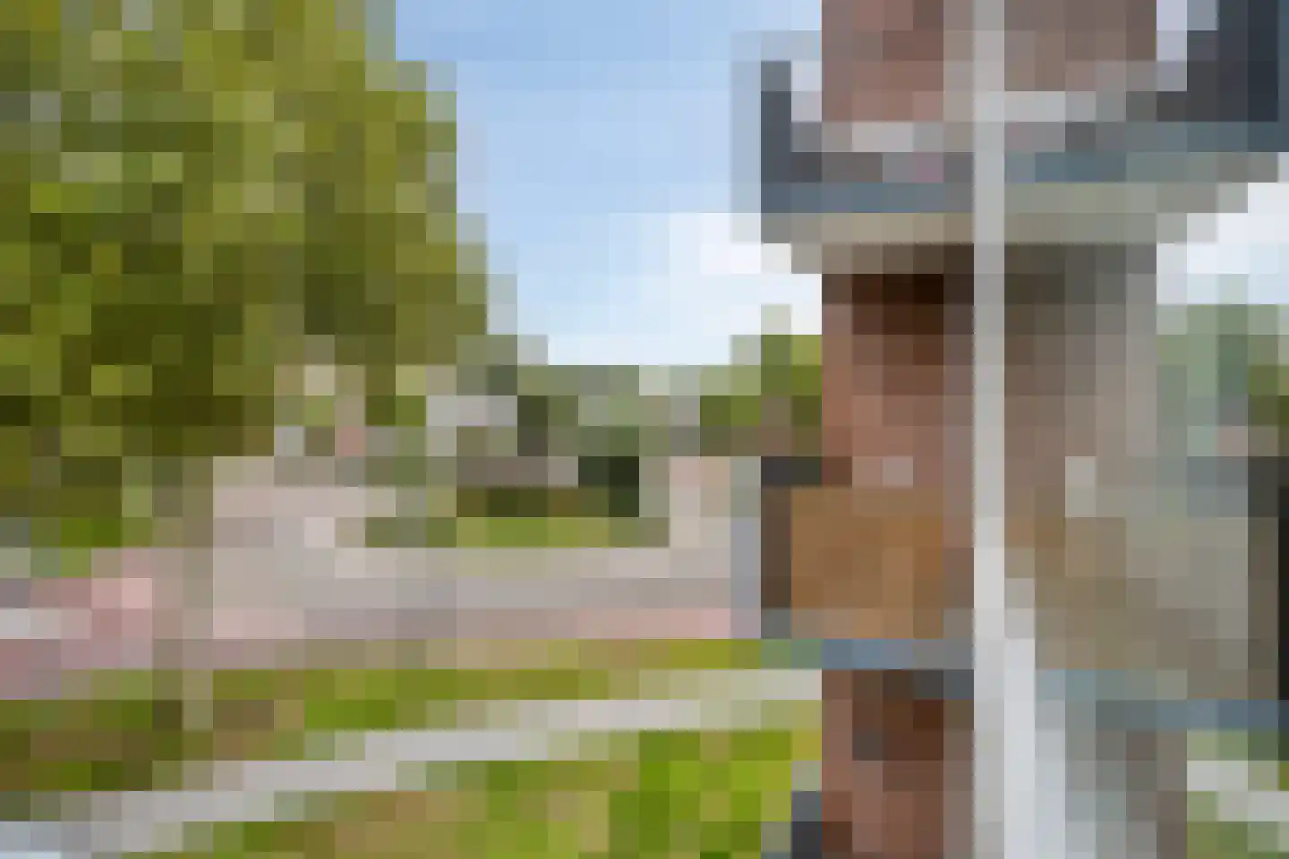 Pastoor van Thiellaan 69 Rosmalen thumbnail 20