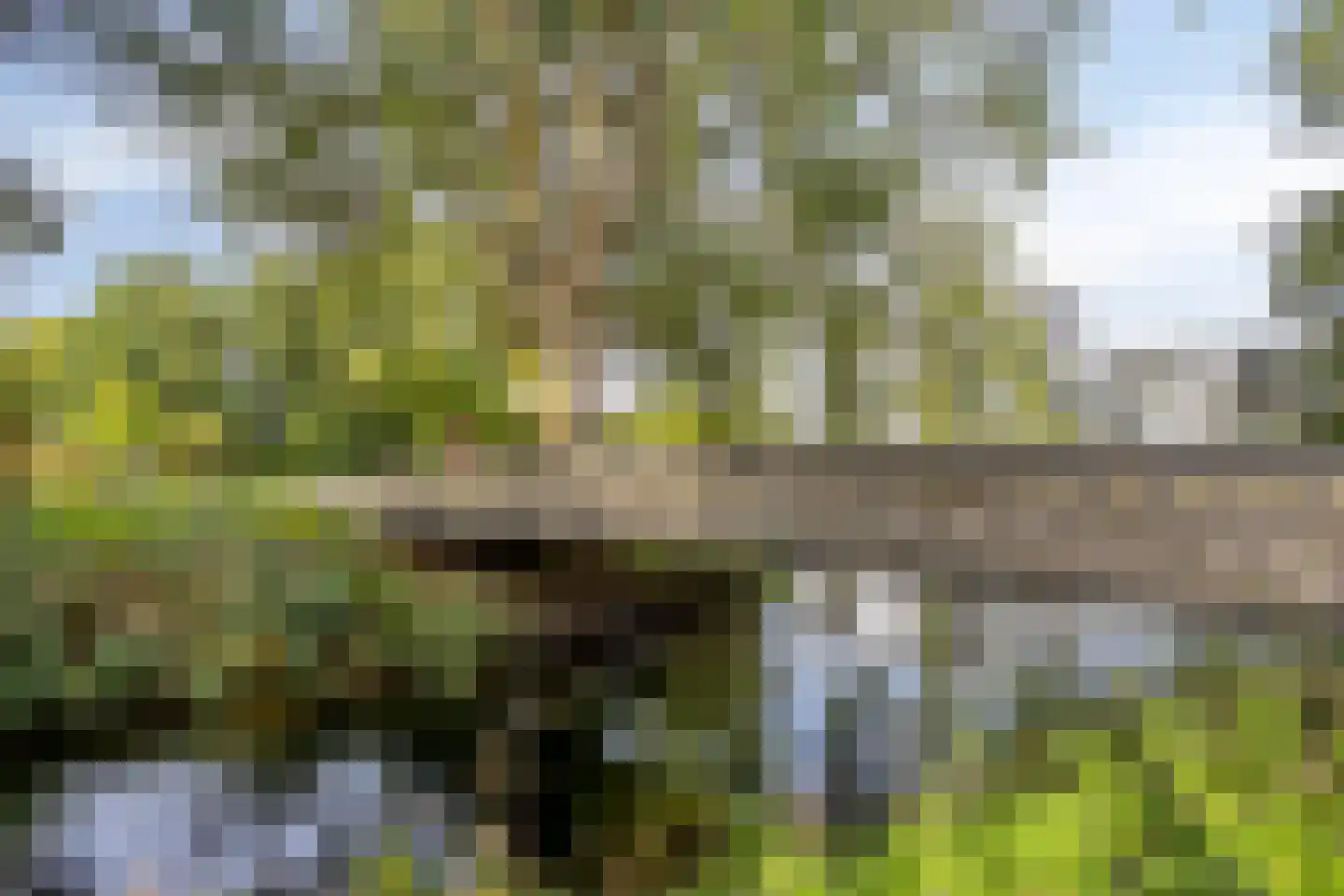 Pastoor van Thiellaan 69 Rosmalen thumbnail 28