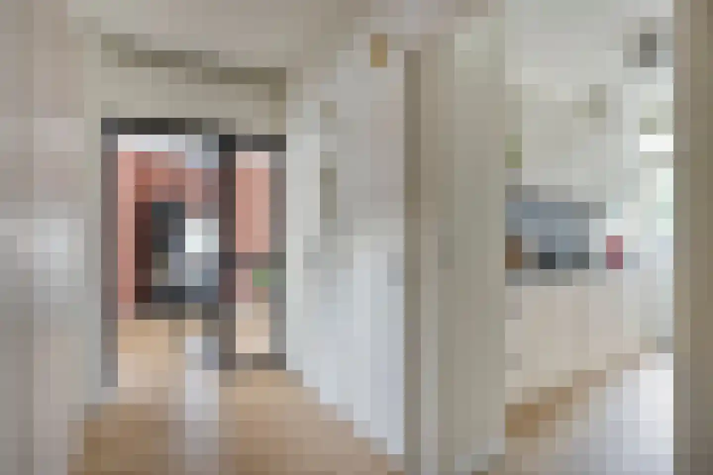 Pastoor van Thiellaan 69 Rosmalen thumbnail 6