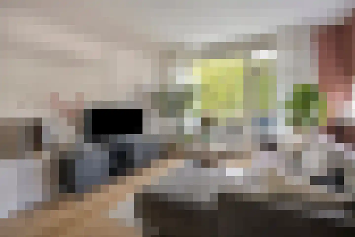 Pastoor van Thiellaan 69 Rosmalen thumbnail 8