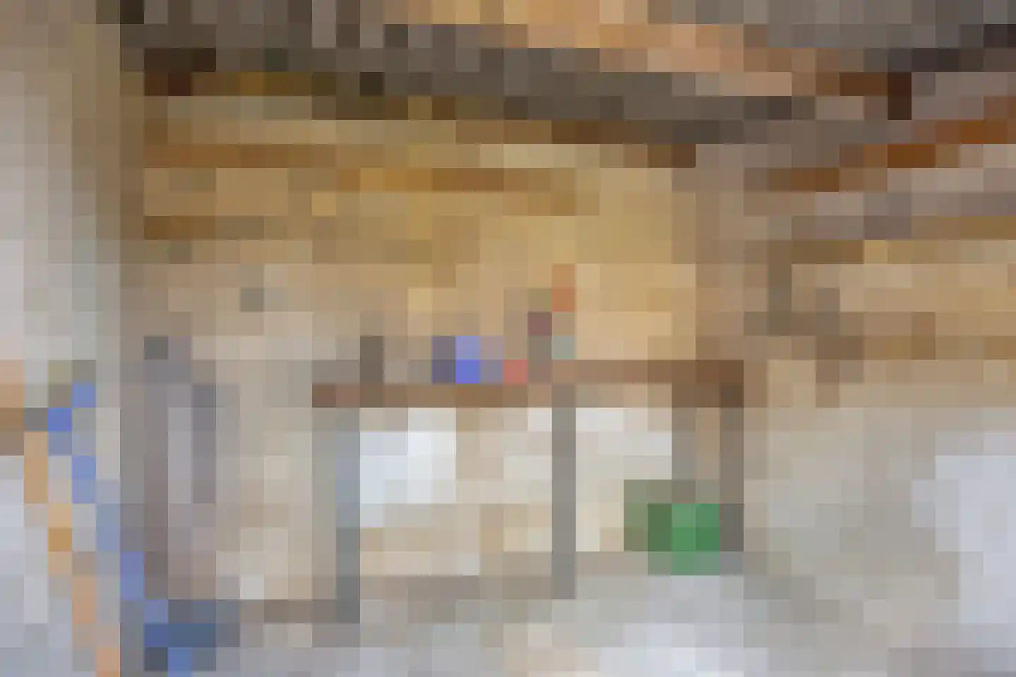 Pastoor van Tielstraat 31 Leuth thumbnail 18