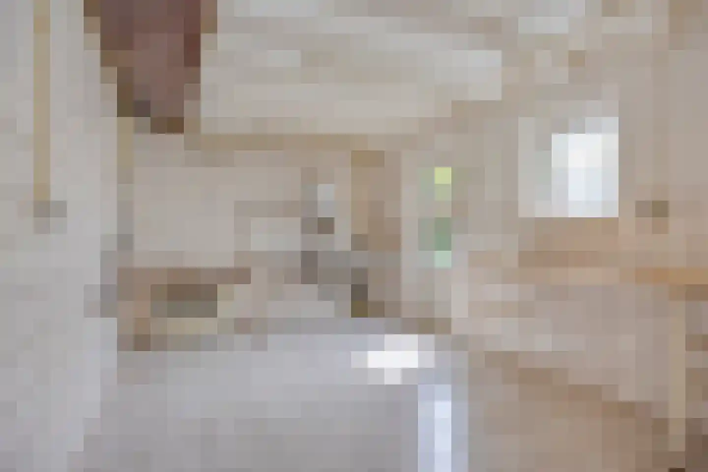 Pastoor van Tielstraat 31 Leuth thumbnail 21