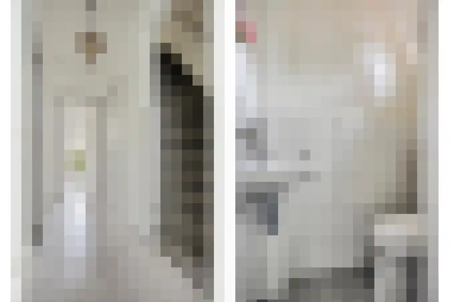 Pastoor van Tielstraat 31 Leuth thumbnail 4