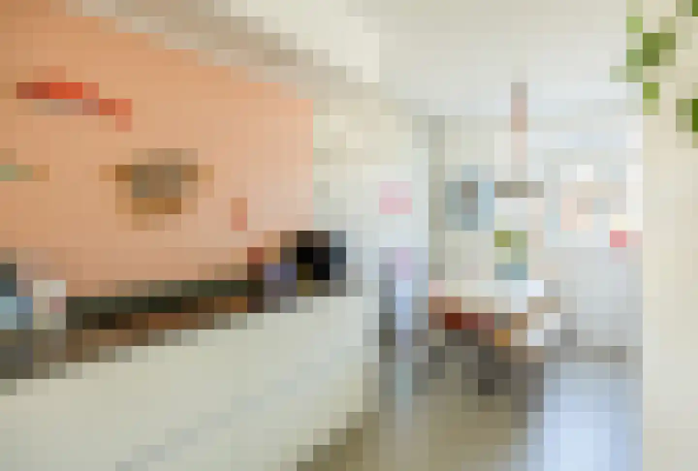 Pastoor van Tielstraat 32 Leuth thumbnail 10